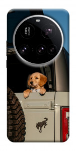 Чохол Dog in the car для Xiaomi 15 Ultra