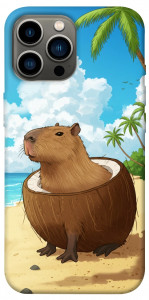 Чехол Bobrini cocosini для iPhone 12 Pro Max