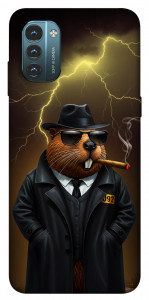 Чохол Bobrito bandito для Nokia G21