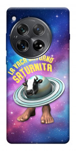 Чохол Saturnita для OnePlus 12