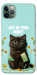Чехол Money cat для iPhone 11 Pro Max
