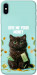 Чехол Money cat для iPhone XS Max