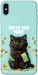 Чехол Money cat для iPhone XS