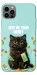 Чехол Money cat для iPhone 12 Pro