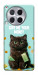 Чехол Money cat для TECNO Camon 30 (CL6)