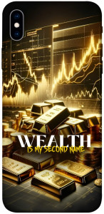 Чехол Wealth для iPhone XS Max