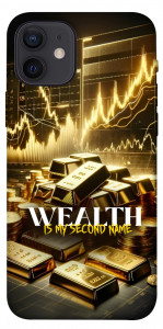 Чохол Wealth для iPhone 12