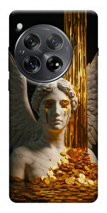 Чехол Gold statue для OnePlus 12