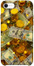Чехол Gold and dollars для iPhone SE (2020)