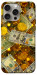 Чохол Gold and dollars для iPhone 15 Pro Max