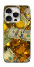 Чехол Gold and dollars для iPhone 16 Pro
