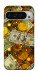 Чохол Gold and dollars для Google Pixel 9 Pro XL