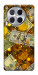 Чехол Gold and dollars для TECNO Camon 30 (CL6)
