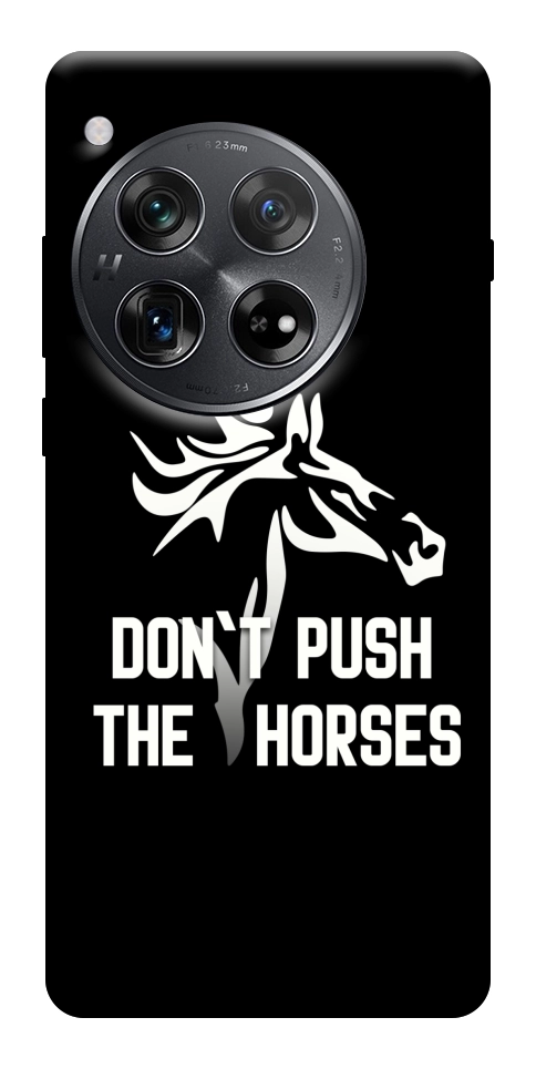 Чохол Dont push the horses для OnePlus 12