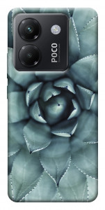 Чохол Сукуленти для Xiaomi Poco M7 Pro 5G
