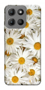 Чохол Chamomile для Motorola Moto G15 4G