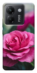Чохол Троянда у саду для Xiaomi Poco M7 Pro 5G