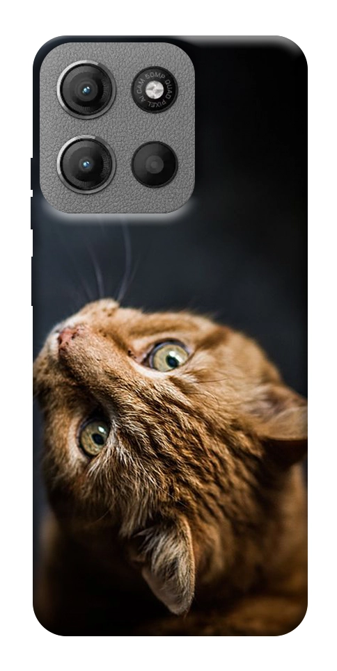 Чохол Рудий кіт для Motorola Moto G15 4G
