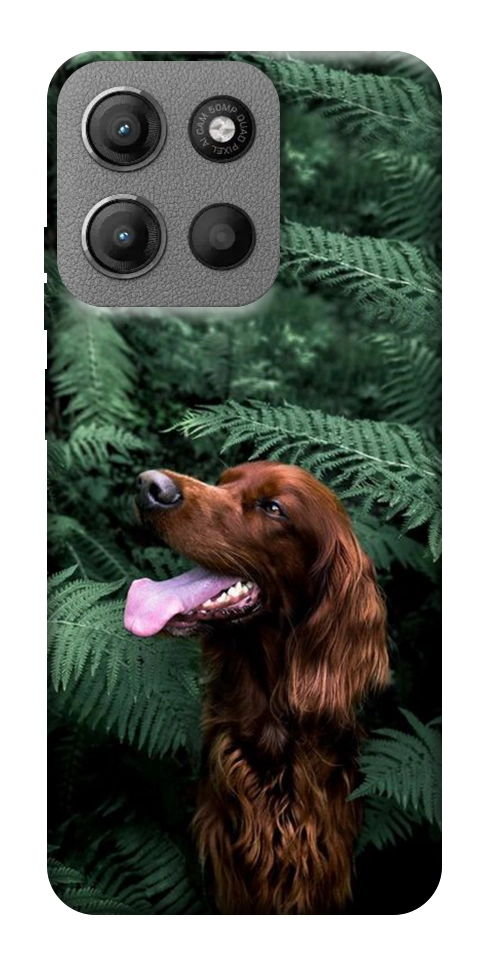 Чохол Собака у зелені для Motorola Moto G15 4G