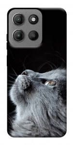 Чохол Cute cat для Motorola Moto G15 4G