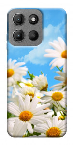 Чохол Ромашкове поле для Motorola Moto G15 4G