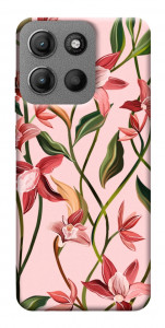 Чохол Floral motifs для Motorola Moto G15 4G