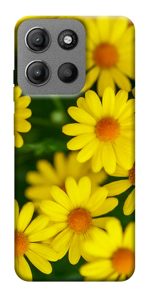Чохол Yellow chamomiles для Motorola Moto G15 4G
