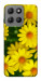 Чохол Yellow chamomiles для Motorola Moto G15 4G