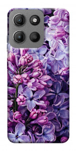Чехол Violet blossoms для Motorola Moto G15 4G