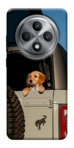 Чехол Dog in the car для Oppo Reno 12 F 4G