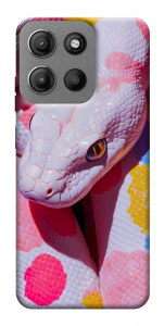 Чехол Colorful Python для Motorola Moto G15 4G