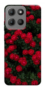 Чохол Eternal roses для Motorola Moto G15 4G