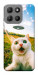 Чехол Ufo cat для Motorola Moto G15 4G