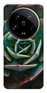 Чехол Эхеверия для Xiaomi 14 Ultra