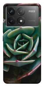 Чехол Эхеверия для Xiaomi Poco F6 Pro