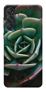 Чехол Эхеверия для Galaxy M55
