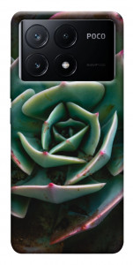 Чехол Эхеверия для Xiaomi Poco X6 Pro