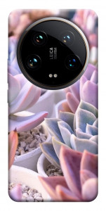 Чехол Эхеверия 2 для Xiaomi 14 Ultra