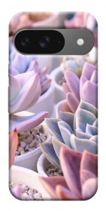 Чохол Ехеверія 2 для Google Pixel 10 Pro
