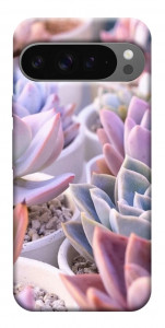 Чохол Ехеверія 2 для Google Pixel 10 Pro XL