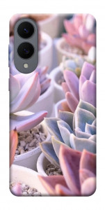 Чохол Ехеверія 2 для Galaxy S25 Edge