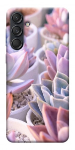 Чехол Эхеверия 2 для Galaxy M55