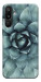 Чехол Суккуленты для Galaxy M16 5G