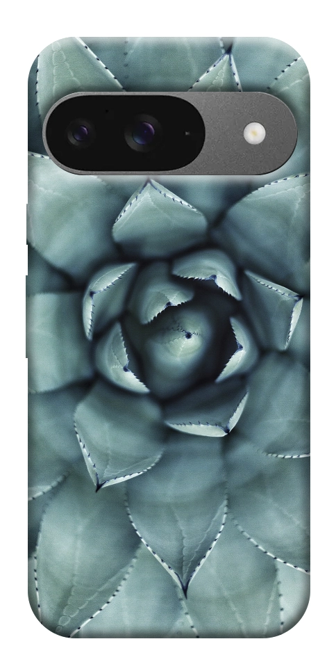 Чохол Сукуленти для Google Pixel 10 Pro