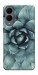 Чохол Сукуленти для Galaxy S25 Edge