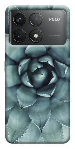 Чехол Суккуленты для Xiaomi Poco F6 Pro