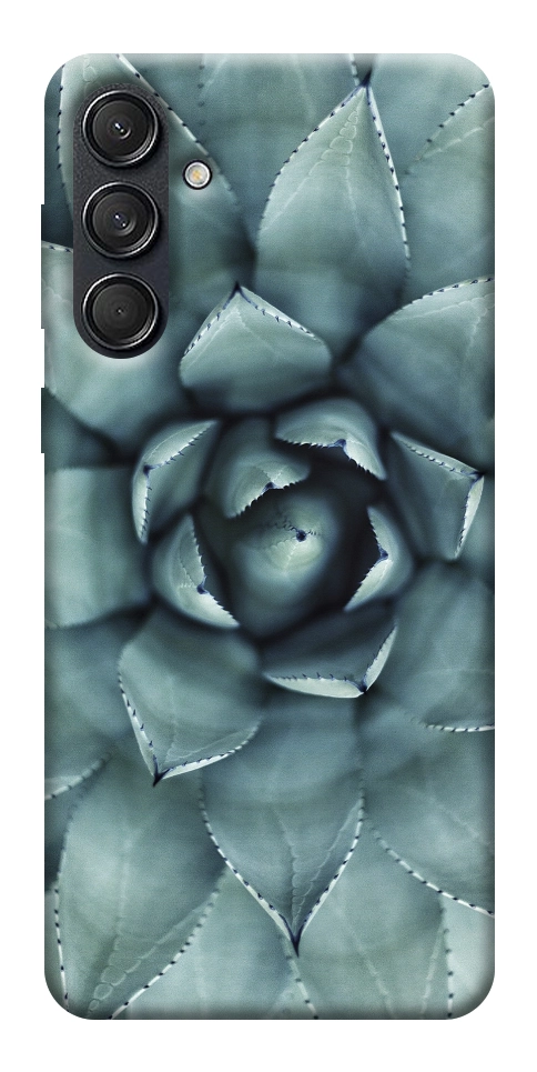 Чохол Сукуленти для Galaxy M55