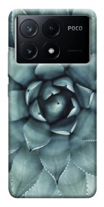 Чехол Суккуленты для Xiaomi Poco X6 Pro