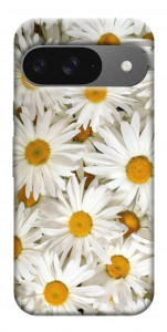 Чохол Chamomile для Google Pixel 10 Pro