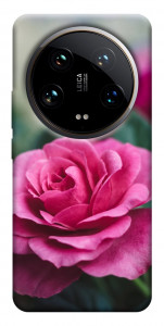 Чехол Роза в саду для Xiaomi 14 Ultra
